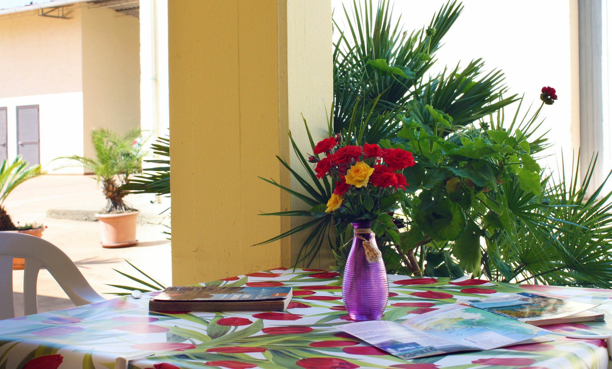 Agriturismo La Fata โกรเซตโต ภายนอก รูปภาพ